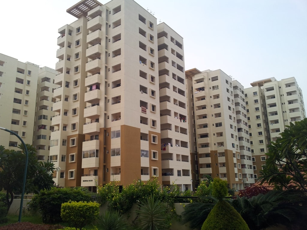 Oceanus Group