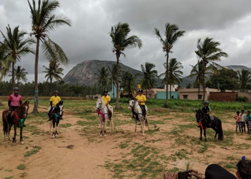 Top Horse Riding Schools in Bangalore - Bangalore Horse Riding School