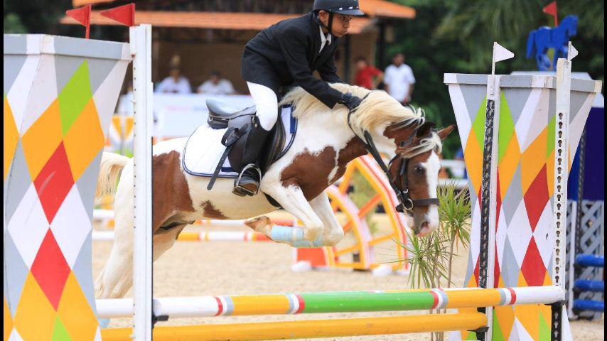 Royal Equestrian Academy