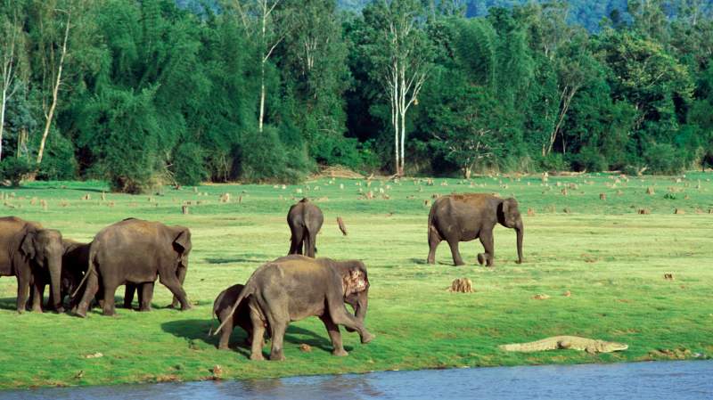 Kabini 