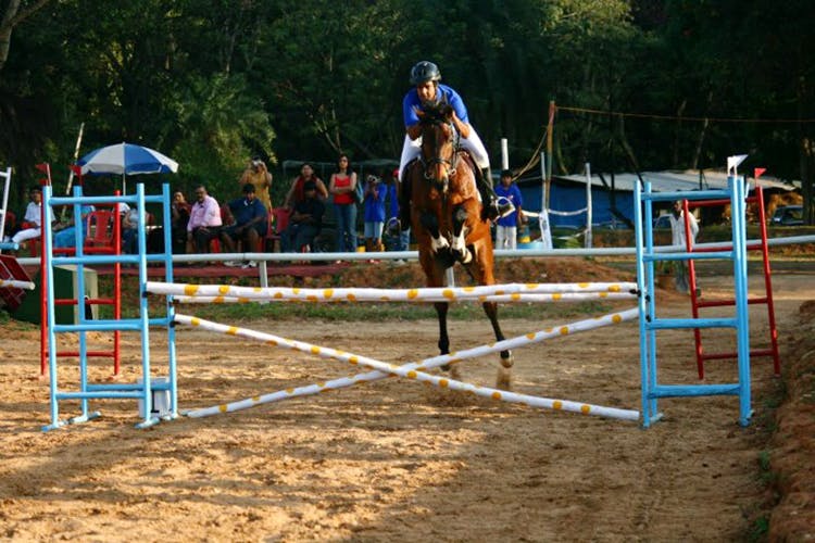 Top Horse Riding Schools in Bangalore