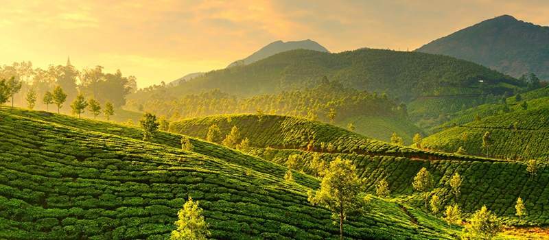 Best Bike Trips from Bangalore -Munnar