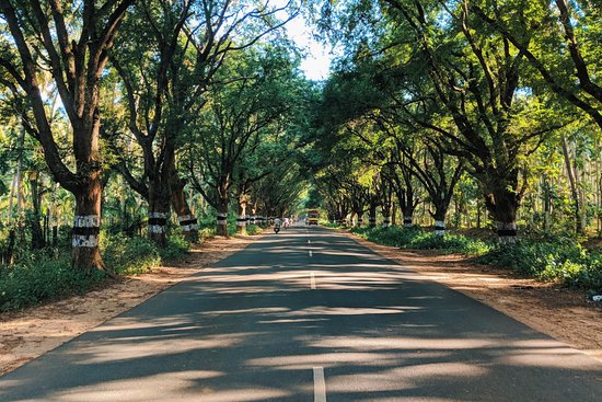 best areas to live in coimbatore[Pollachi road]