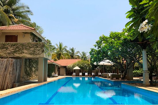 Shreyas Yoga Retreat