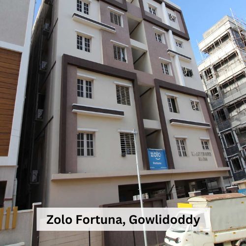 Zolo Fortuna