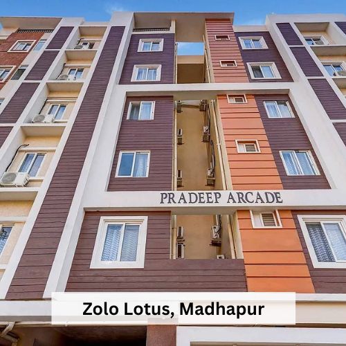 Zolo Lotus