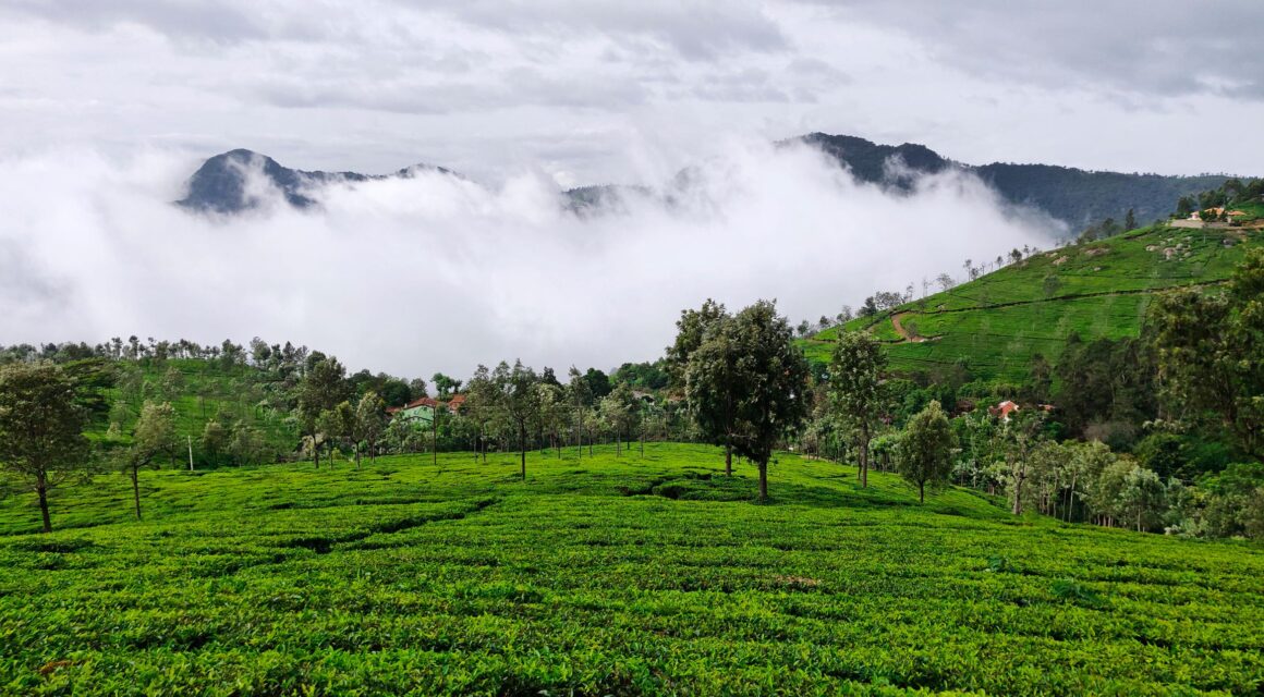 Best Places in Coimbatore