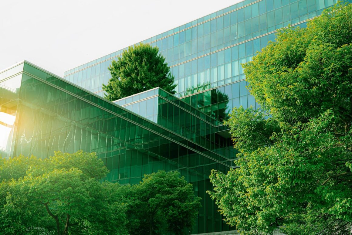 The Rise of Sustainable Travel: Eco Friendly Practices in Hospitality